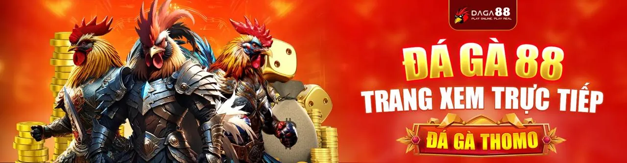 Đá gà trực tuyến K8bet